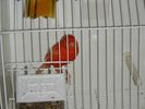 DSCN2581.JPG