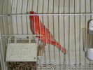 DSCN2584.JPG