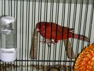 DSCN2585.JPG