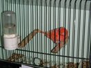 DSCN2589.JPG
