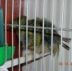 DSCN3141.jpg
