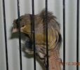 DSCN3144.jpg