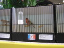 P1010017.JPG