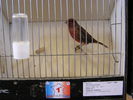 P1010032.JPG