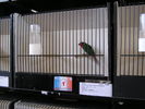 P1010155.JPG