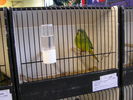 P1010167.JPG