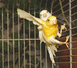 Filename=dim.jpg
Filesize=51KB
Dimensions=452x400
Date added=Dec 21, 2006 dim.jpg