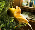 Filename=toy.jpg
Filesize=57KB
Dimensions=470x400
Date added=Dec 30, 2006 toy.jpg