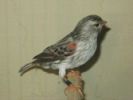 Файл=Image04.JPG
Объём=7КБ
Размеры=167x125
Дата=Сент 25, 2004 Image04.JPG