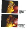 Picture5 003~0.jpg