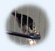 ファイル名 : p.jpg
ファイルサイズ : 8KB
ディメンション : 236x216
登録日 : 2005年 02月 03日 p.jpg