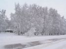 Файл=Рис. 022.jpg
Объём=34КБ
Размеры=533x400
Дата=Янв 21, 2005 Рис. 022.jpg