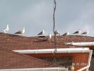 PICT0015.JPG
