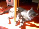 PICT0555.JPG