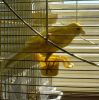 DSC04645.jpg