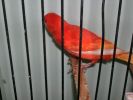 DSCN6736.JPG===4.jpg