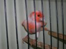 DSCN6740.JPG===6.jpg