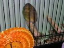 DSCN6768.JPG===10.jpg