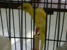 DSCN6814.JPG===17.jpg