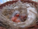 IMG_0972-----400.jpg
