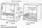 Bestandsnaam : 1z.jpg
Bestandsgrootte : 68KB
Afmetingen : 350x236
Datum toegevoegd : 20 nov 2004 1z.jpg