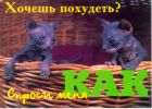 Файл=5~1.jpg
Объём=41КБ
Размеры=523x373
Дата=Нояб 27, 2004 5~1.jpg