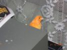18_resize.JPG
