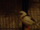 DSC02899.JPG