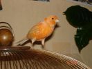 DSC00686_.jpg
