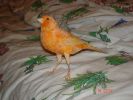 DSC00690_.jpg