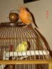 DSC00739_.jpg