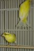 DSC02568.JPG