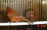 Fitxategia=DSC07949.jpg
Tamaina=50KB
Neurriak=630x400
Igotze data=2006(e)ko Aza(a)ren 24(e)an DSC07949.jpg