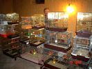 DSC07952.jpg