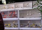 P1010061.jpg