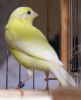 otpustite_poletat.jpg