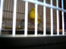 CIMG0127_resize.JPG