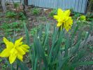 CIMG0134_resize.JPG