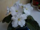 CIMG0149_resize.JPG