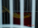Файл=DSC00844.JPG
Объём=25КБ
Размеры=533x400
Дата=Март 19, 2005 DSC00844.JPG