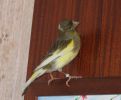 Picture 097.jpg