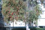 PICT0028.JPG
