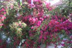 PICT0038.JPG