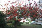 PICT0043.JPG