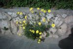 PICT0046.JPG