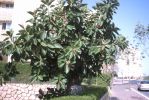PICT0047.JPG