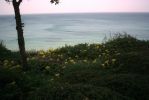 PICT0052.JPG