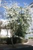 PICT0055.JPG