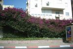 PICT0059.JPG