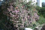 PICT0062.JPG